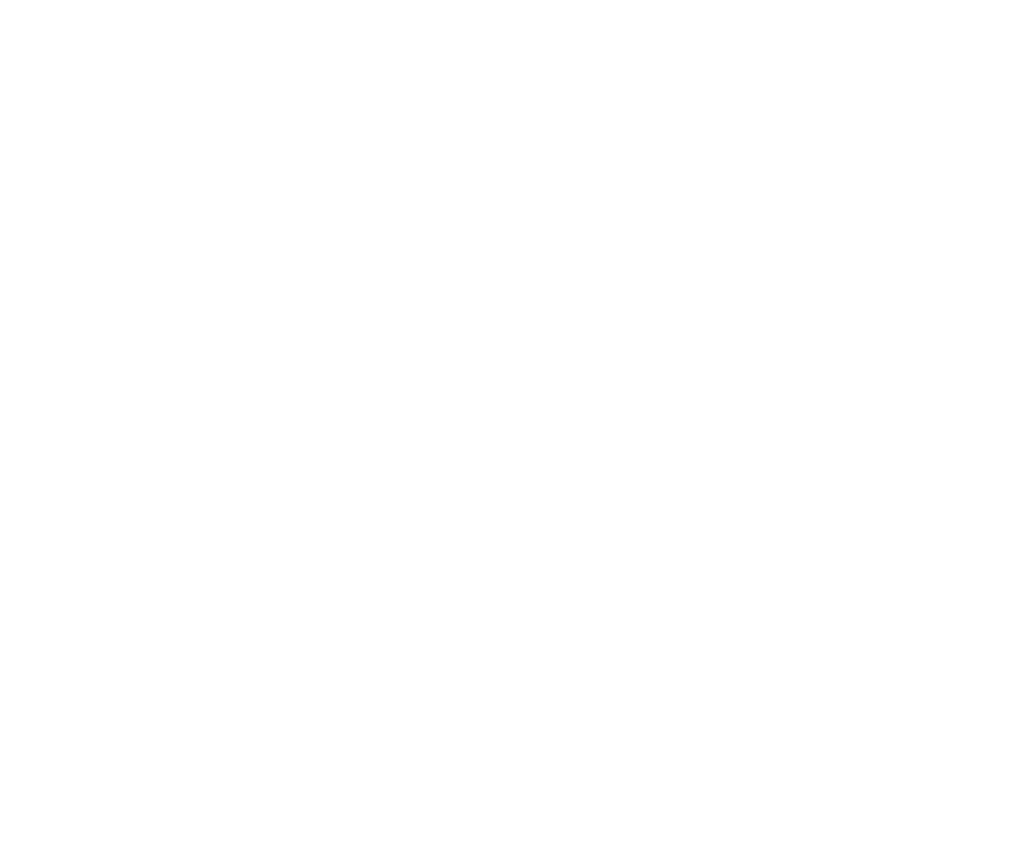 MaximOne Logo
